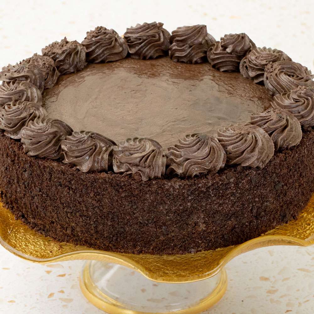Gluten-Free Double Chocolate Cake Close-up