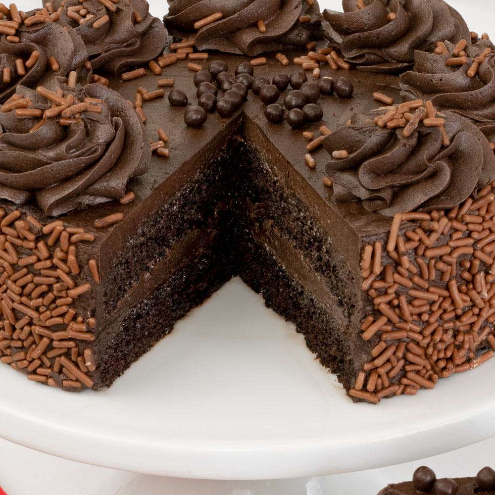 Chocolate Truffle Cake Close-up